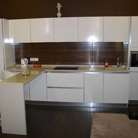 One Bedroom Luxury Shota Rustaveli Str Apartment *