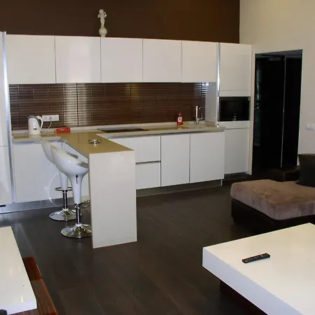 Apartment One Bedroom Luxury Shota Rustaveli Str Kyiv